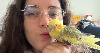 maeva pet sitter à MONTPELLIER 34070_2
