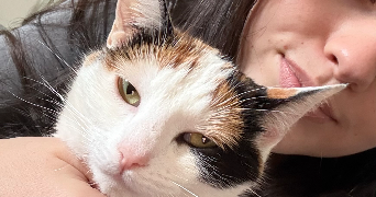 lya pet sitter à MAISSE 91720_1