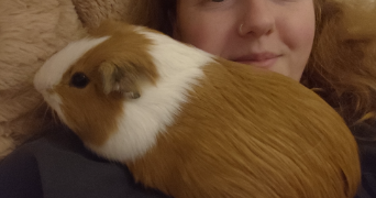 manon pet sitter à BOURG LA REINE 92340_3