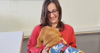 romane pet sitter à BURES SUR YVETTE 91440_2