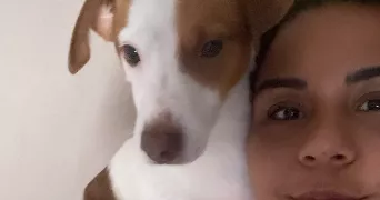 mariana pet sitter à NOYAL CHATILLON SUR SEICHE 35230
