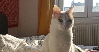 emma pet sitter à NOGENT SUR MARNE 94130_3