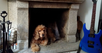 ana pet sitter à VELIZY VILLACOUBLAY 78140_6