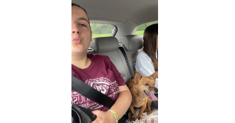 sara pet sitter à FERRIERES EN BRIE 77164_1