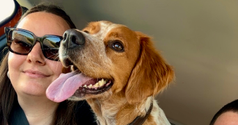 adeline pet sitter à ECUVILLY 60310_4