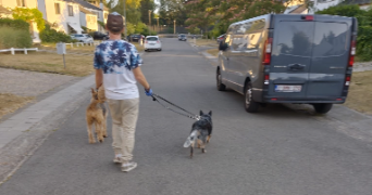 didier pet sitter à AUDERGHEM 1160_3