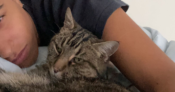 oliana pet sitter à Limoges 87000_4