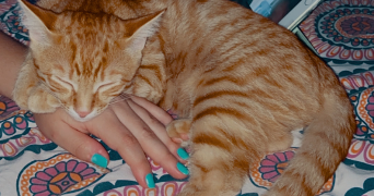 isabella pet sitter à VILLEURBANNE 69100_6