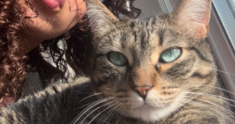 nasma pet sitter à POITIERS 86000_11