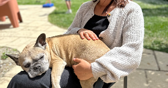 morgane pet sitter à PORTE DES BONNEVAUX 38260_6