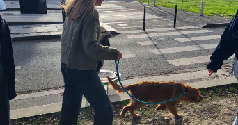 lou pet sitter à ANGERS 49000_4