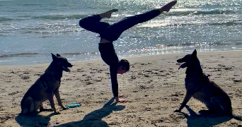 inès pet sitter à PONT ST ESPRIT 30130_1