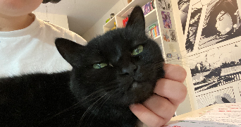 ombeline pet sitter à CAEN 14000_2