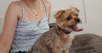 léna pet sitter à CORMERY 37320_7