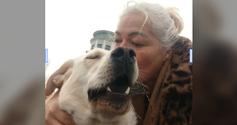 lolaetnoah pet sitter à MONTEVRAIN 77144_8