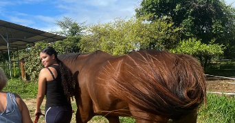 boudillon pet sitter à PETIT BOURG 97170_5