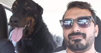 yacine pet sitter à GRABELS 34790_0