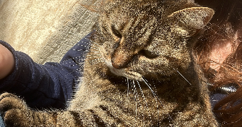 amelie pet sitter à VILLERS MARMERY 51380_2