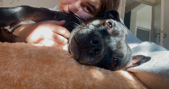 eléa pet sitter à CREHANGE 57690_2