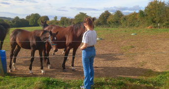 anaelle pet sitter à LISIEUX 14100_0