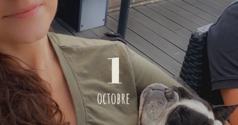 camille pet sitter à BAILLEUL 59270_1