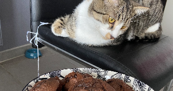 manon pet sitter à GENNEVILLIERS 92230_4