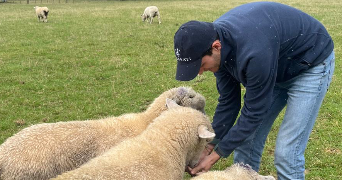 axel pet sitter à BORDEAUX 33000_9