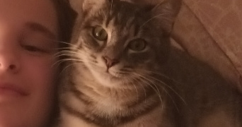 laurence pet sitter à MEYREUIL 13590_3