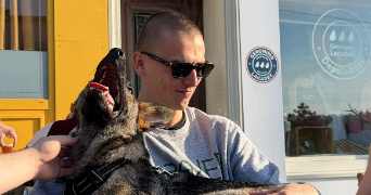 fabien pet sitter à BREST 29200_0