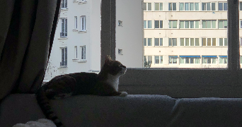 chloé pet sitter à PARIS 14 75014_1