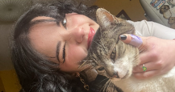 siam pet sitter à AUBERVILLIERS 93300_0