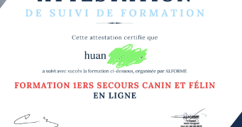 huan dog sitter à FARAMANS 01800_2