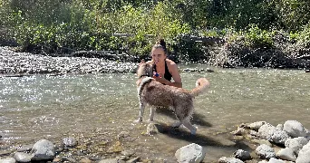 anaïs pet sitter à VIROFLAY 78220