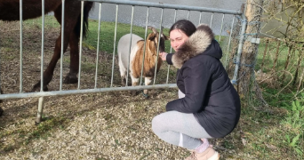 cynthia pet sitter à BRUZ 35170_2