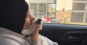 mathilde pet sitter à BOBIGNY 93000_0