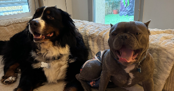 priscillia pet sitter à BORDEAUX 33000_1