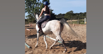 ines pet sitter à ANGERS 49100_4