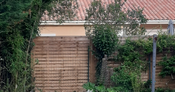 danick pet sitter à Libourne 33500_4