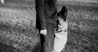 léane pet sitter à COUDES 63114_5