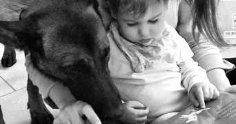 laurène pet sitter à PONTARLIER 25300_1