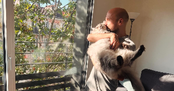 thomas cat sitter à CLICHY 92110_1