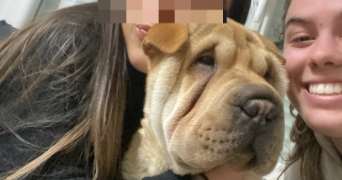 carla pet sitter à GRABELS 34790_3
