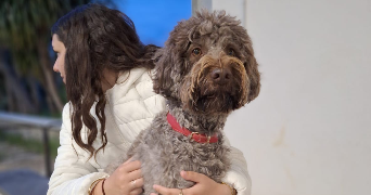 emma pet sitter à BOMPAS 66430_3