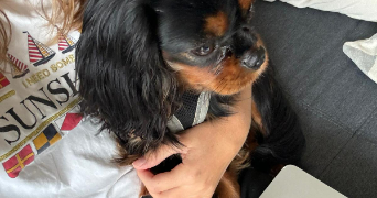anne-claire pet sitter à LA GARENNE COLOMBES 92250_3