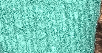 hildegarde pet sitter à ST MALO 35400_0