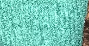 hildegarde pet sitter à ST MALO 35400