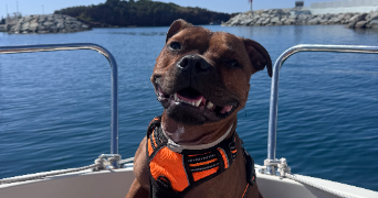 pauline pet sitter à NICE 06000_0