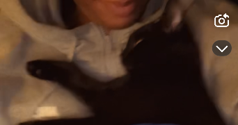 naomi pet sitter à FONTENAY AUX ROSES 92260_2