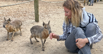 morgane pet sitter à BRUGES 33520_6