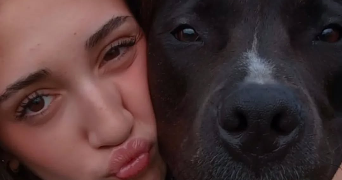maëlys pet sitter à Méry sur Oise 95540_1